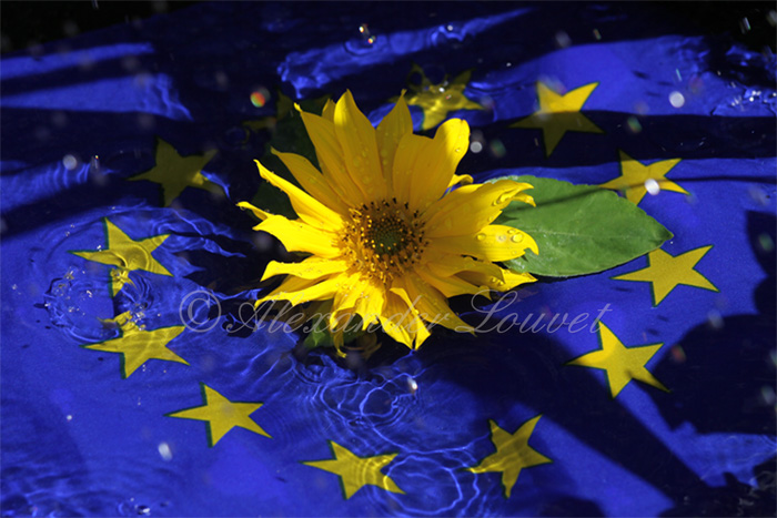 Photo "EU Flower" 70X50