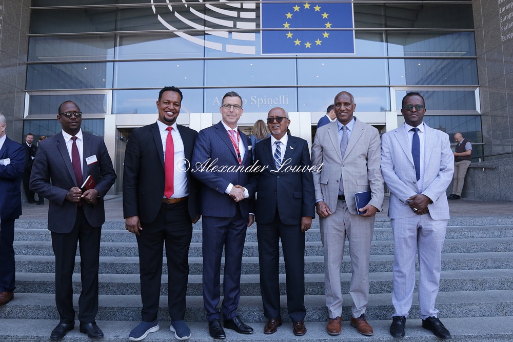 MEP Lars Patrick Berg Lars P. Berg  trifft eine Delegation aus Somaliland